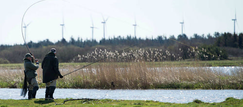 85 procent af borgerne er godt tilfredse med tilværelsen